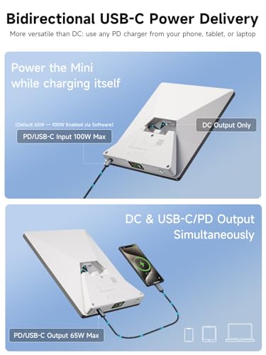 Best Starlink Mini Power Bank